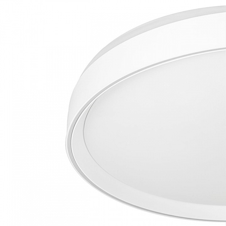 Накладной светильник citilux boss cl751450g