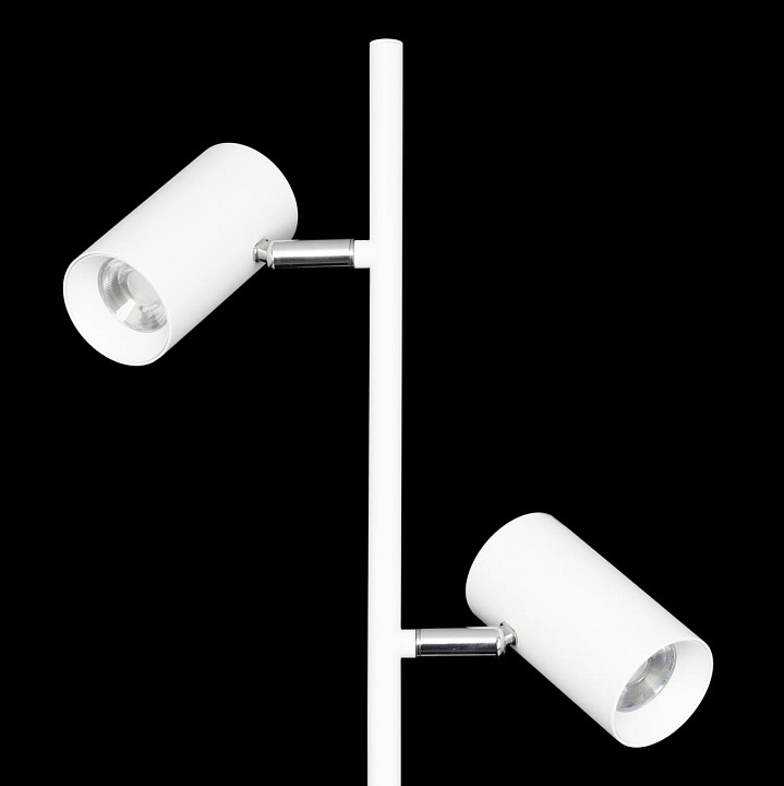Торшер citilux twin cl809010n