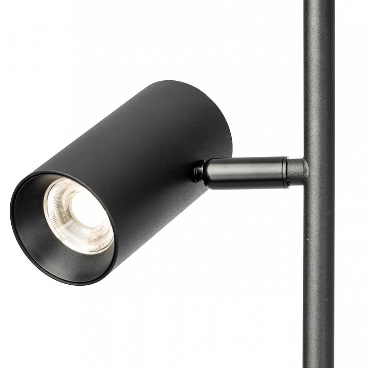 Торшер citilux twin cl809011n