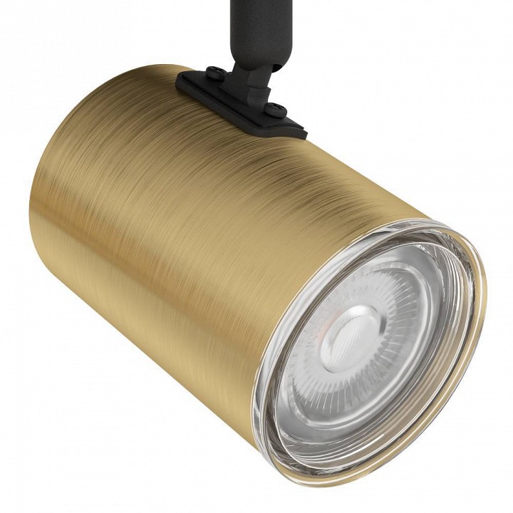 Спот eglo consuma 1 300586