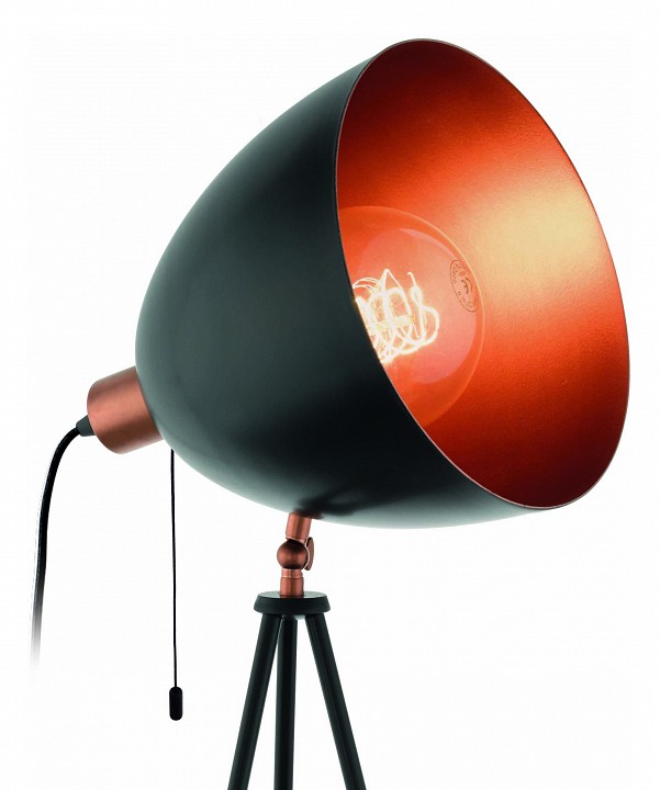 Торшер eglo chester 49386