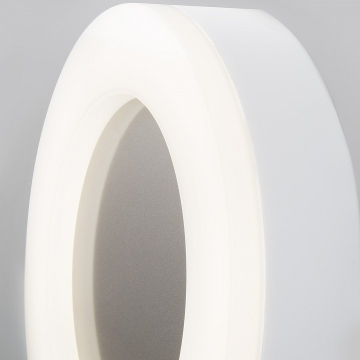 Накладной светильник elektrostandard rim a048714