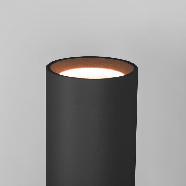 Светильник на штанге elektrostandard langer a061225