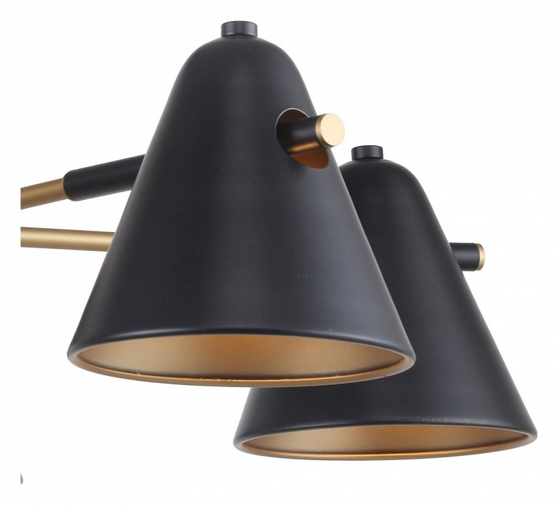 Люстра на штанге f-promo rigor 2844-5p