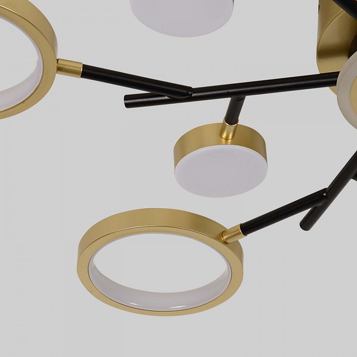 Потолочная люстра f-promo hybrid 4686-13c