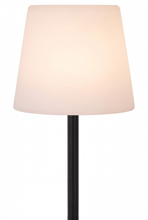 Настольная лампа декоративная lucide tyon 13816/02/30