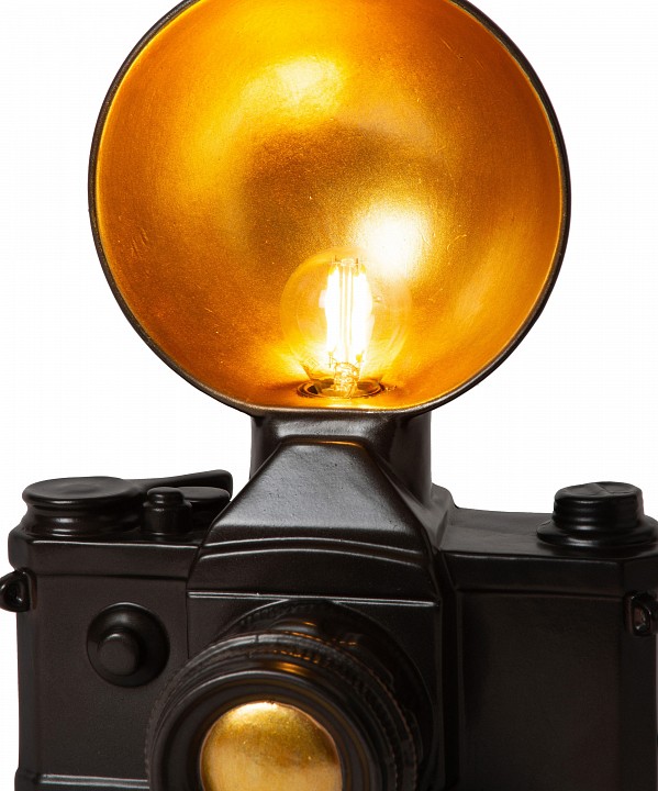 Настольная лампа декоративная lucide extravaganza camera 34546/21/30