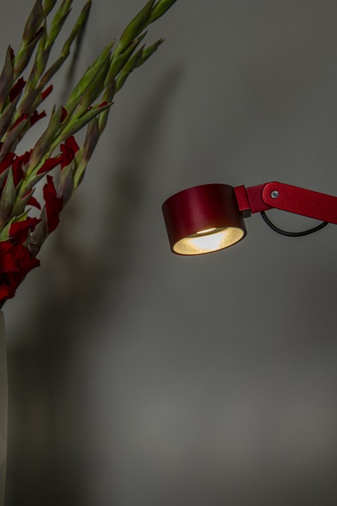 Настольная лампа офисная lucide ogden 56505/06/32