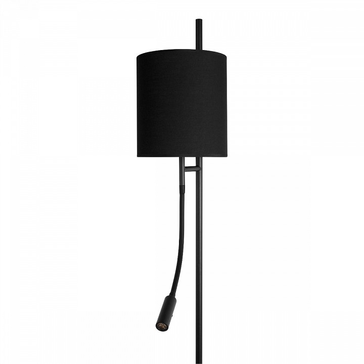 Торшер с подсветкой loft it ritz 10253f/b black