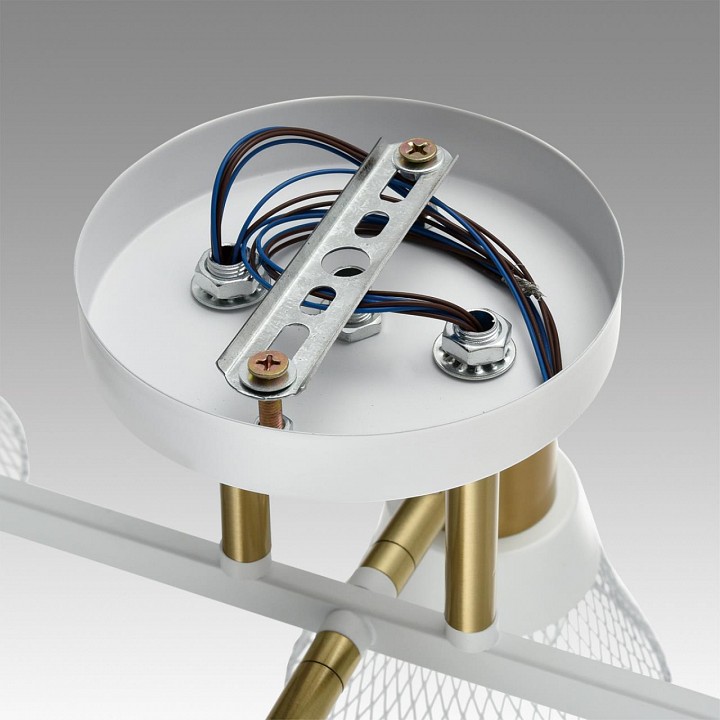 Люстра на штанге lumion anriya 8045/6c