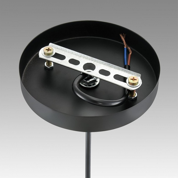 Подвесной светильник lumion leonela 8052/1а