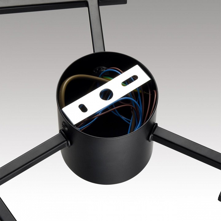 Потолочная люстра lumion dabra 8186/6c