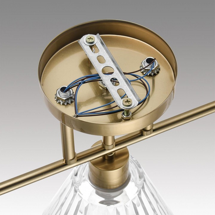 Светильник на штанге lumion vivian 8188/3c