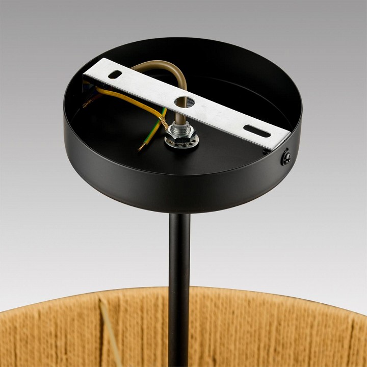 Светильник на штанге lumion silvana 8286/7