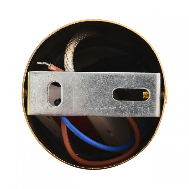 Подвесной светильник lumion ledio 8324/20l