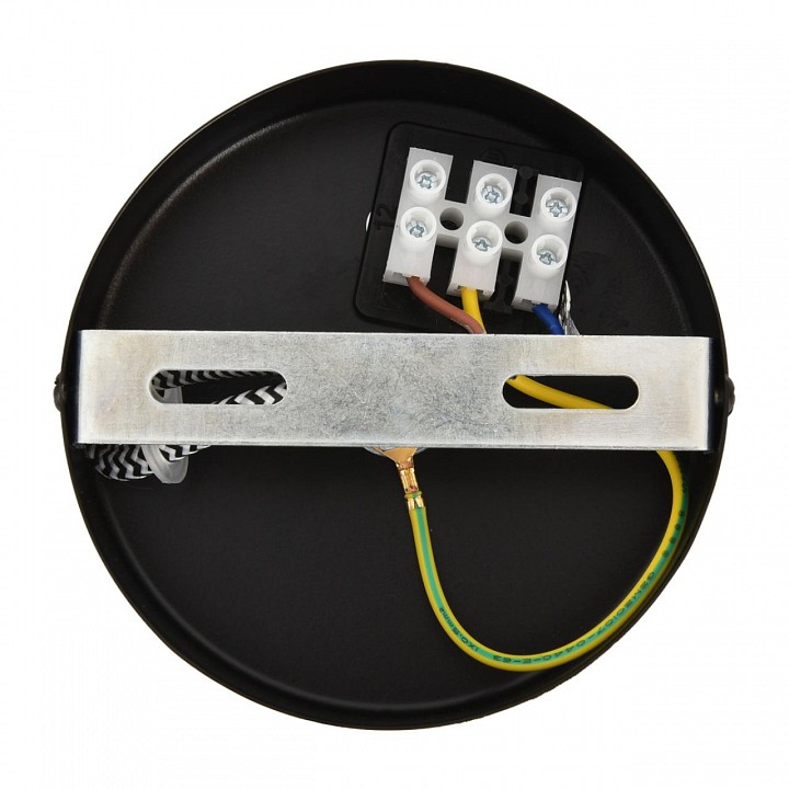 Подвесной светильник lumion eco 8365/1a