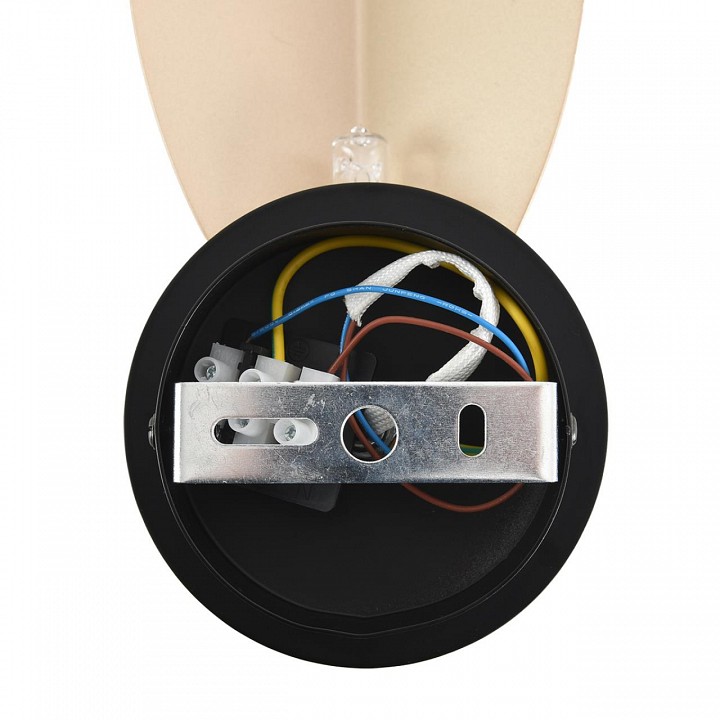 Накладной светильник lumion moderni 8396/1w