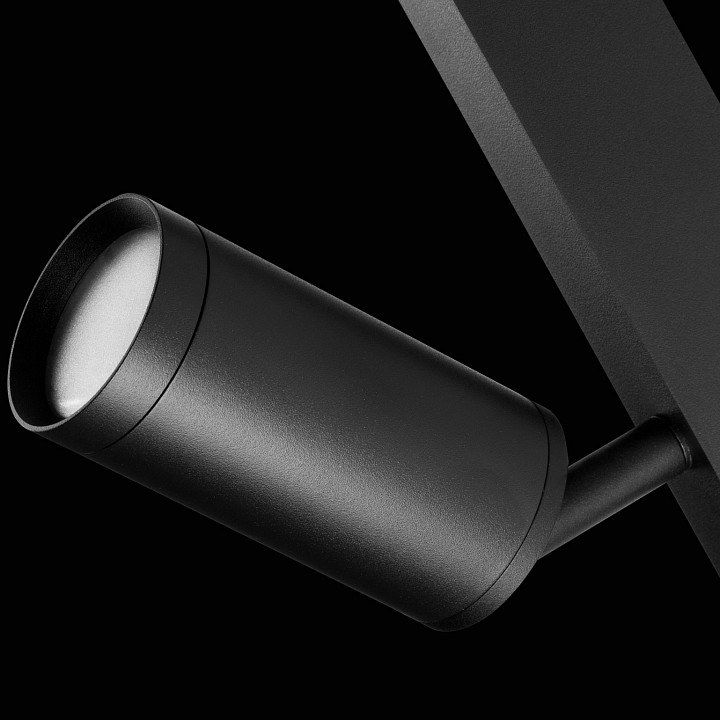 Светильник на штанге lightstar teta 205027r