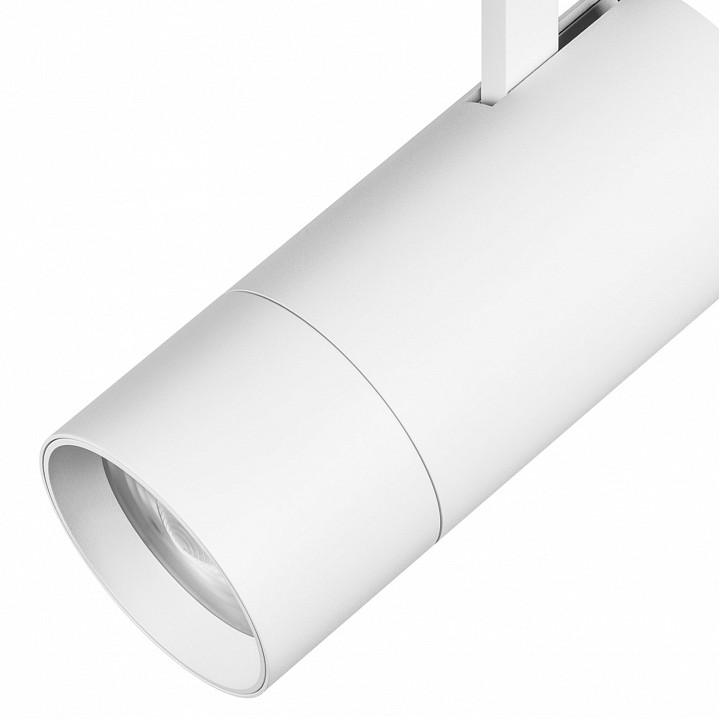Светильник на штанге lightstar volta 229336