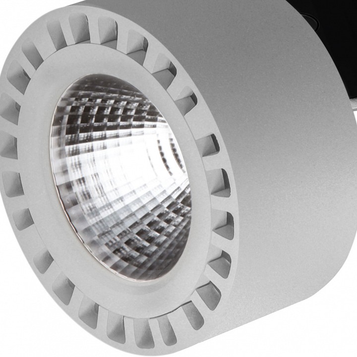 Светильник на штанге lightstar forte ip65 381393