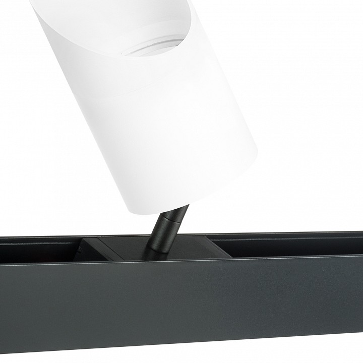 Светильник на штанге lightstar rullo pro348686
