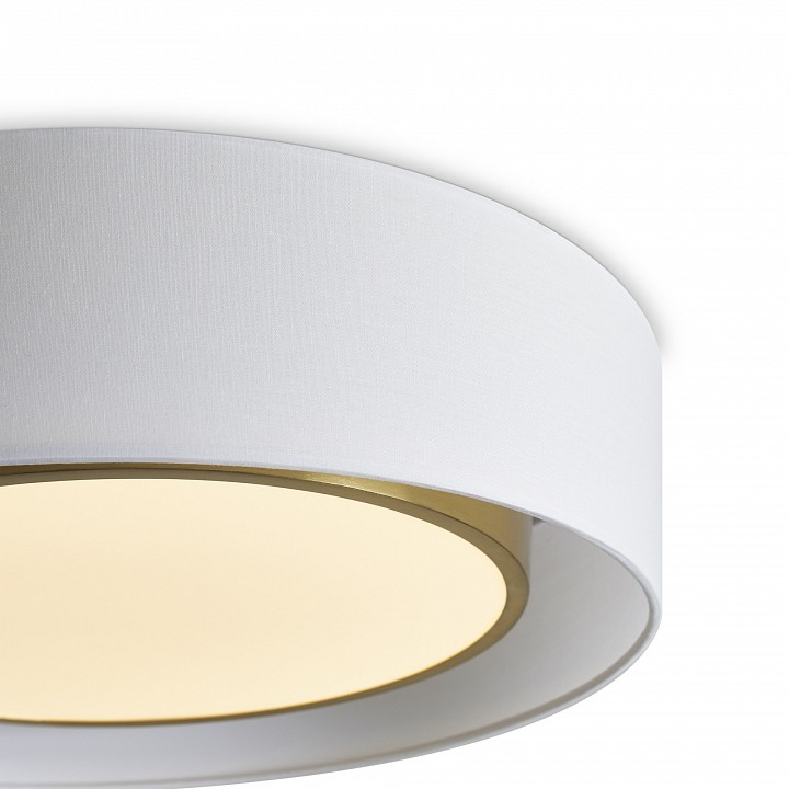 Накладной светильник freya cozy fr6170cl-l52bs