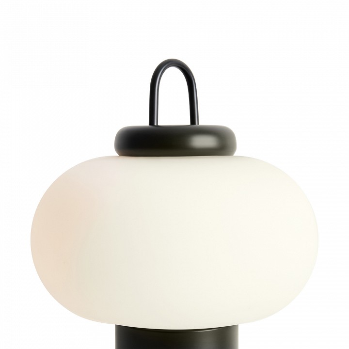 Настольная лампа декоративная freya take fr6175tl-l10b