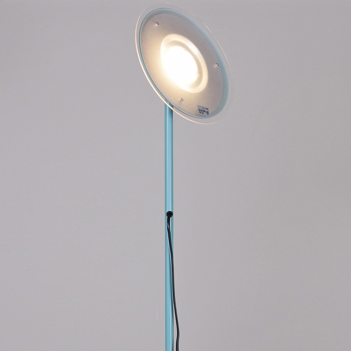 Торшер 09769-0.6-01 led