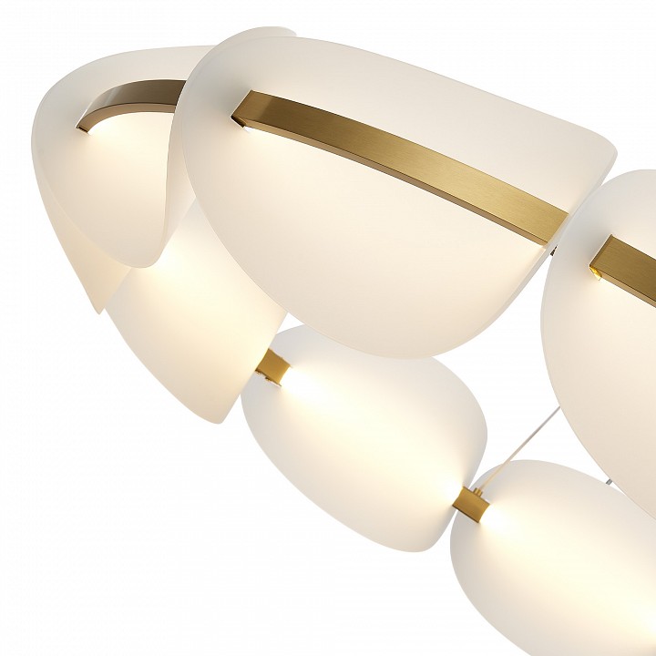 Подвесная люстра st-luce etoile sl1304.203.65