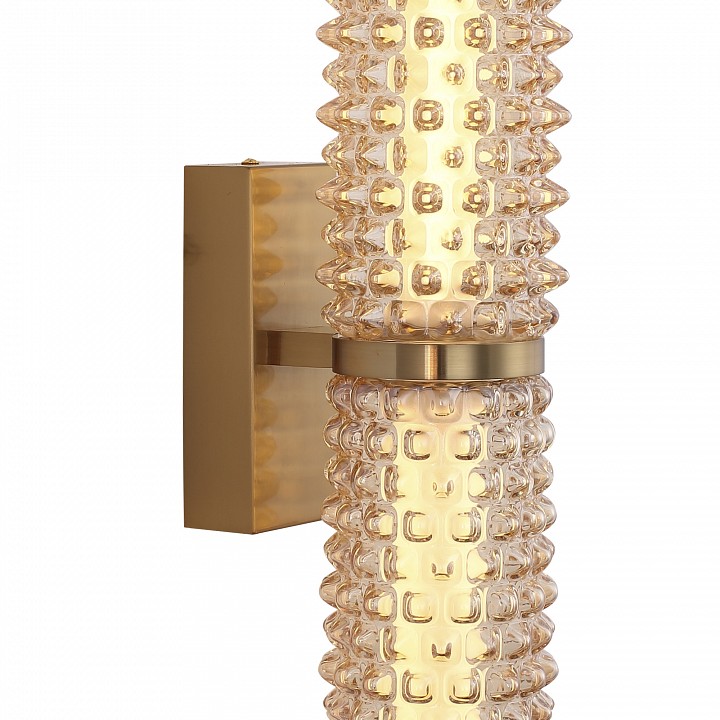 Бра st-luce saguaro sl6144.301.01