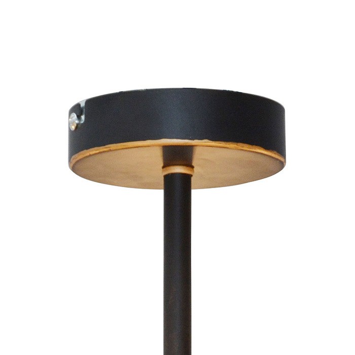 Потолочная люстра toplight roxana tl1194x-05bk