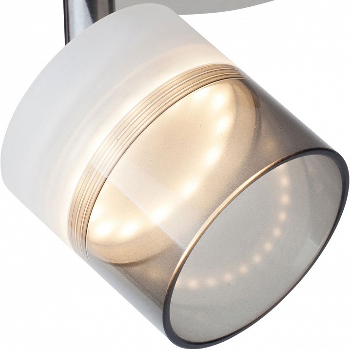 Спот toplight rosa tl1230y-01sn