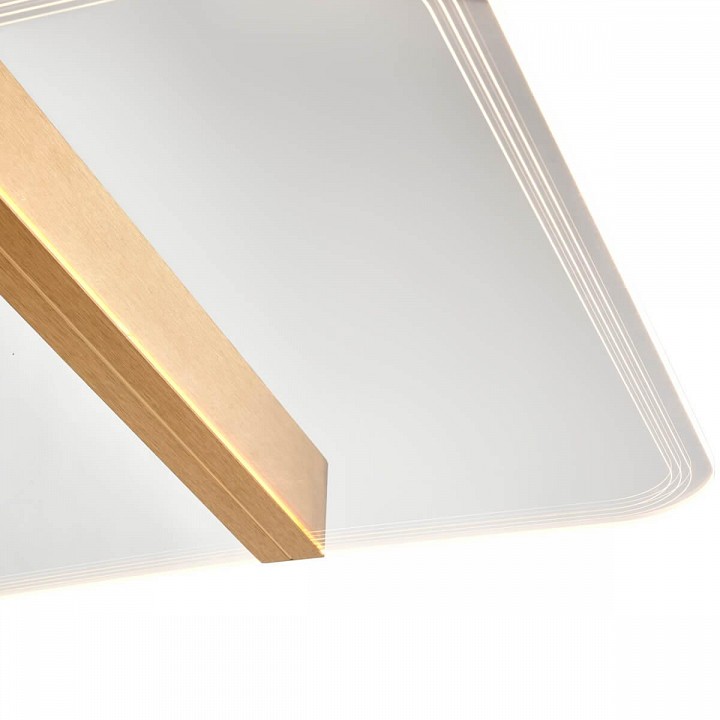 Накладной светильник vele luce futuro vl7224l21
