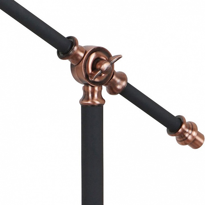 Настольная лампа офисная arte lamp braccio a2054lt-1bk