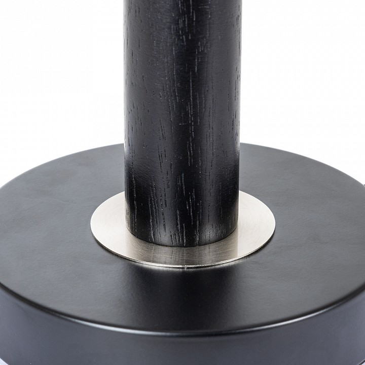 Настольная лампа декоративная arte lamp robert a5029lt-1ss