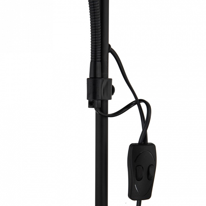 Торшер с подсветкой arte lamp duetto a9569pn-2bk