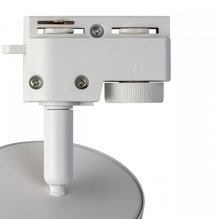 Светильник на штанге citilux hardy cl002t10