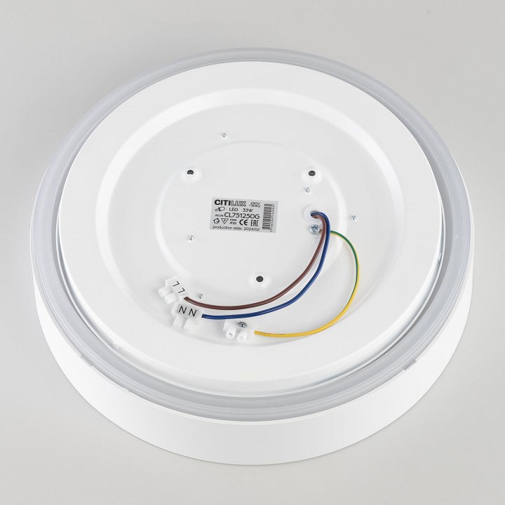Накладной светильник citilux boss cl751250g