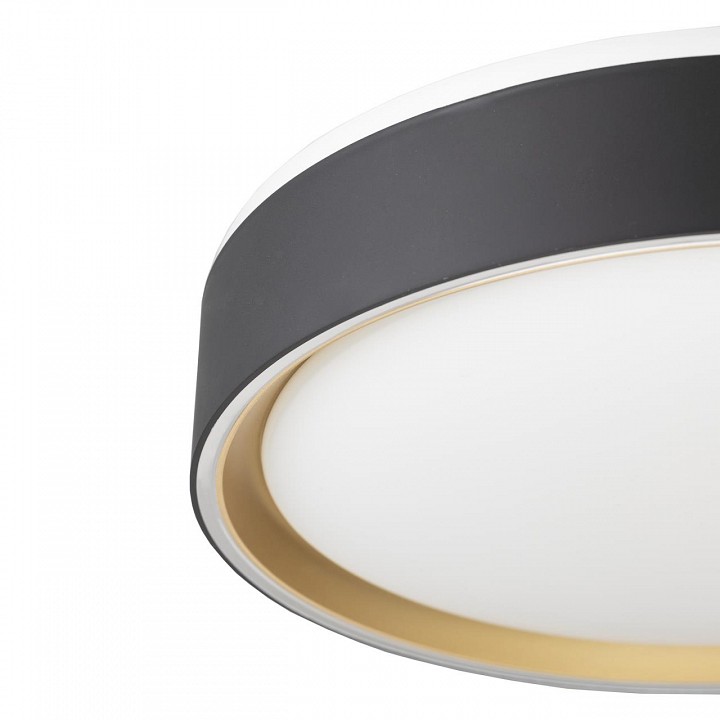 Накладной светильник citilux boss cl751251g