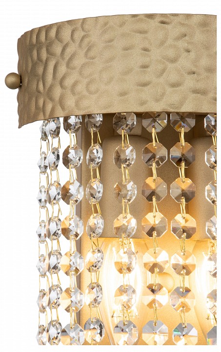 Накладной светильник escada niagara 10170/2a