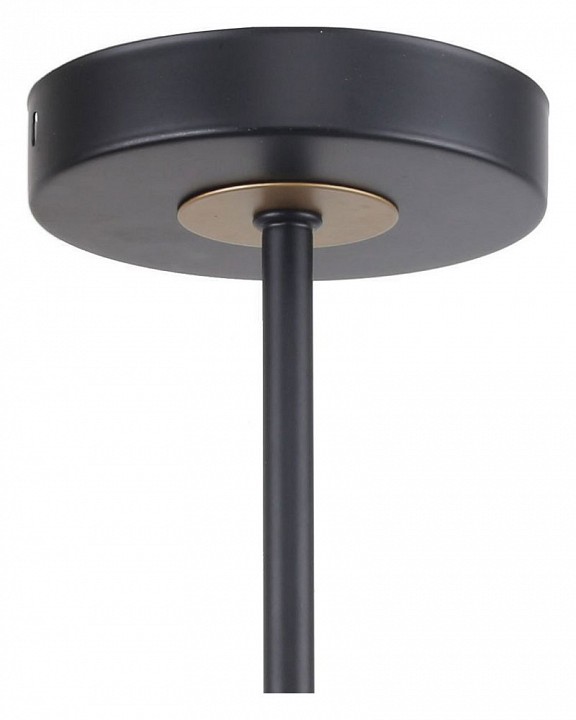 Люстра на штанге f-promo rigor 2844-5p