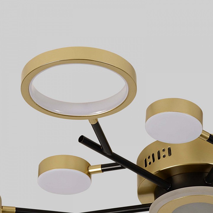 Потолочная люстра f-promo hybrid 4686-13c