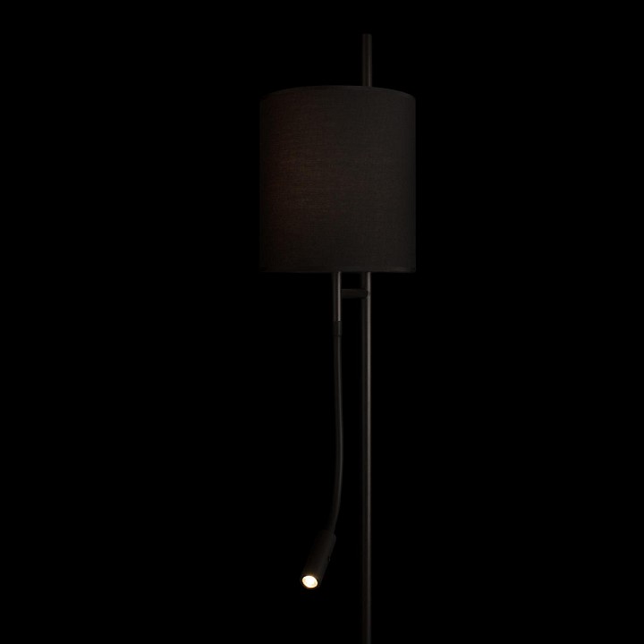 Торшер с подсветкой loft it ritz 10253f/b black