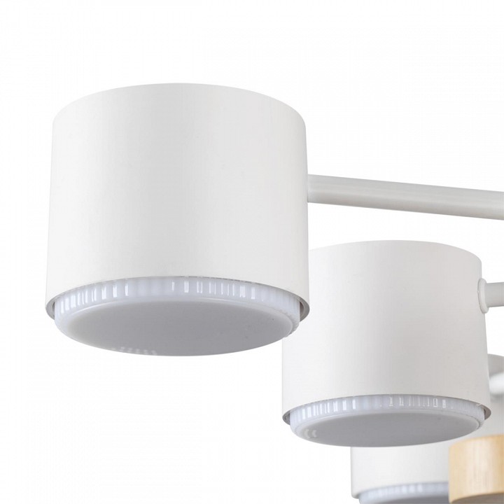 Потолочная люстра lumion rondo 8196/10c
