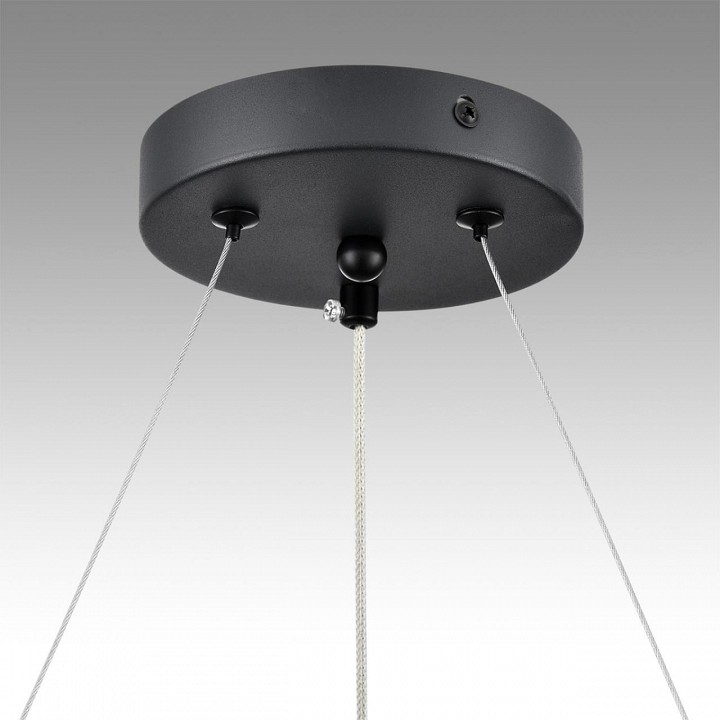 Подвесная люстра lumion luazana 8242/6