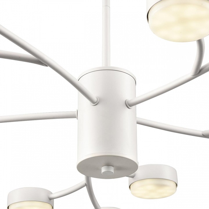 Люстра на штанге lumion torina 8265/15