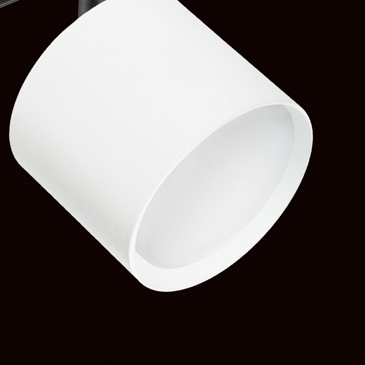 Светильник на штанге lightstar rullo pro3486
