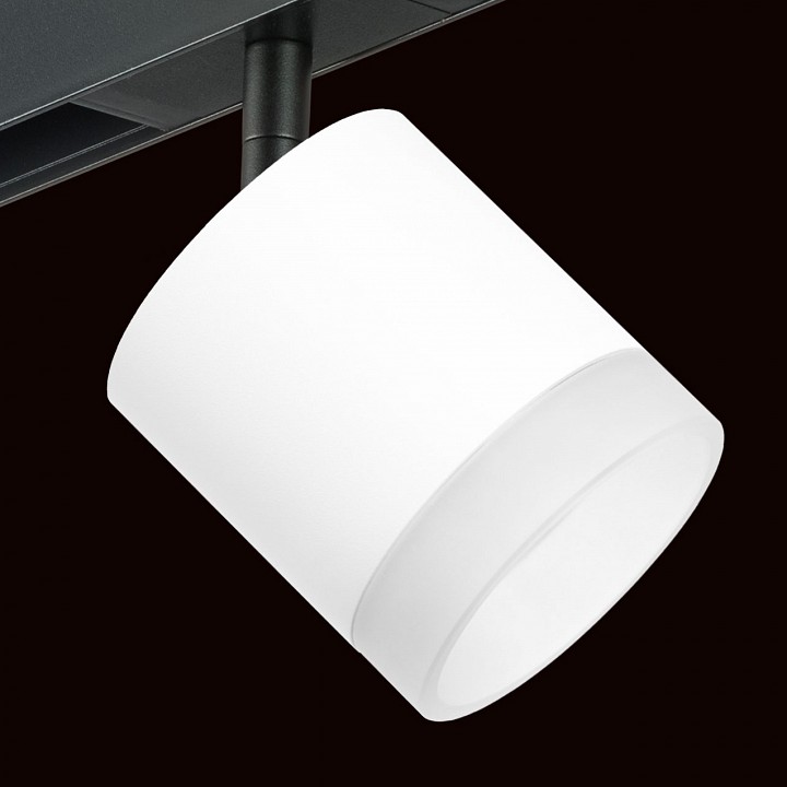 Светильник на штанге lightstar rullo pro348680