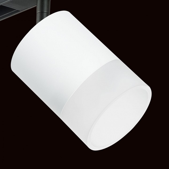 Светильник на штанге lightstar rullo pro348681