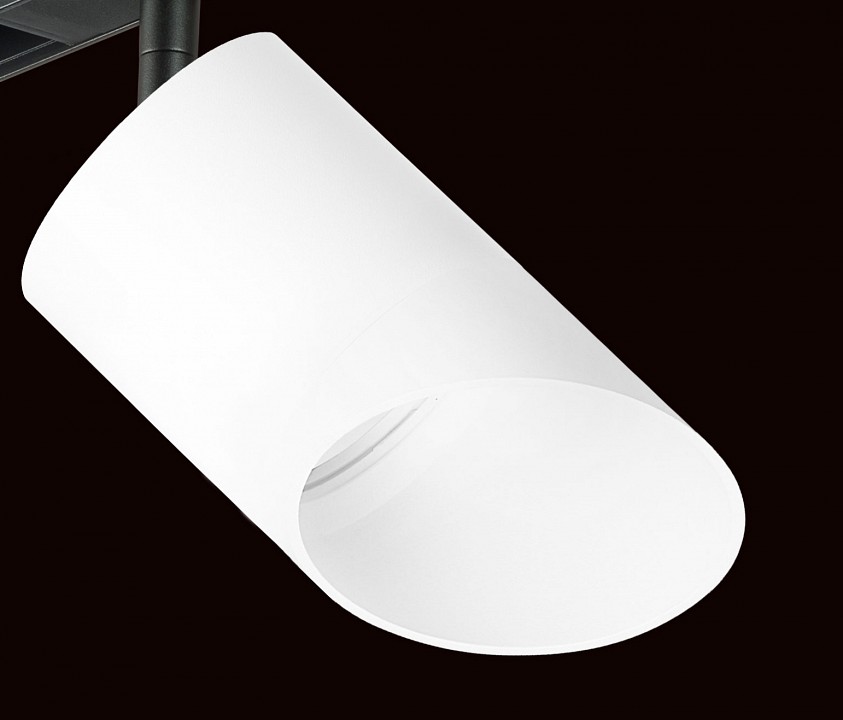 Светильник на штанге lightstar rullo pro348686